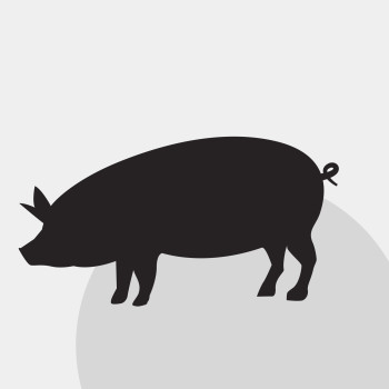 Tucz kontraktowy – dwie decyzje zobowiązujące